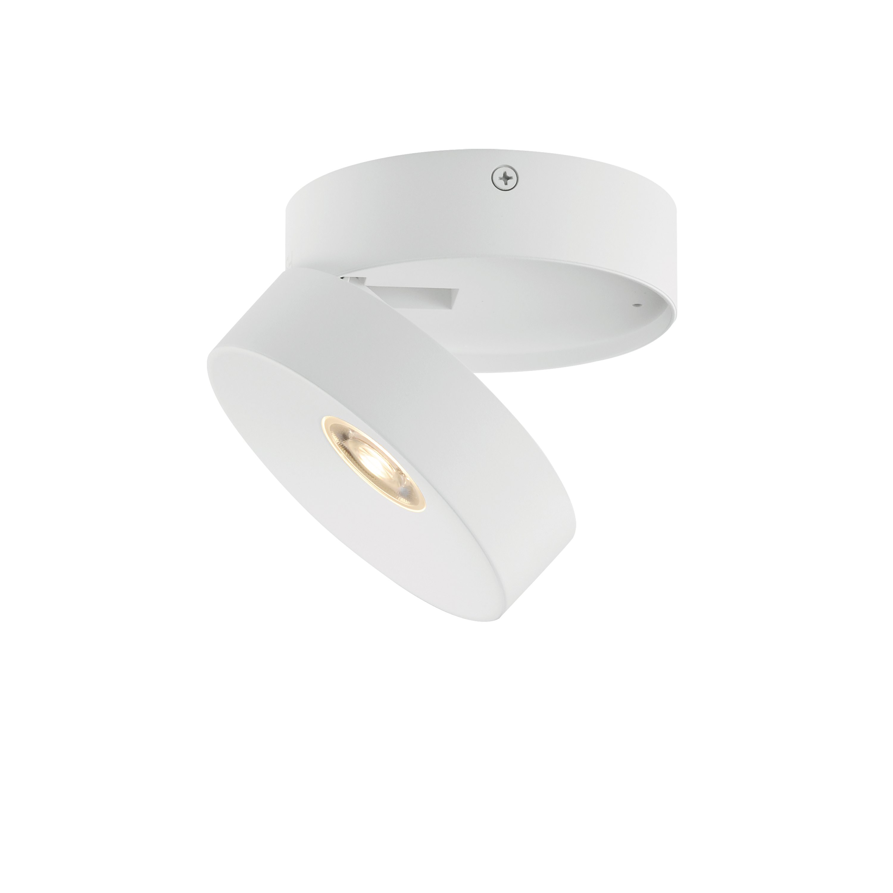 Swinger-Flush Mount