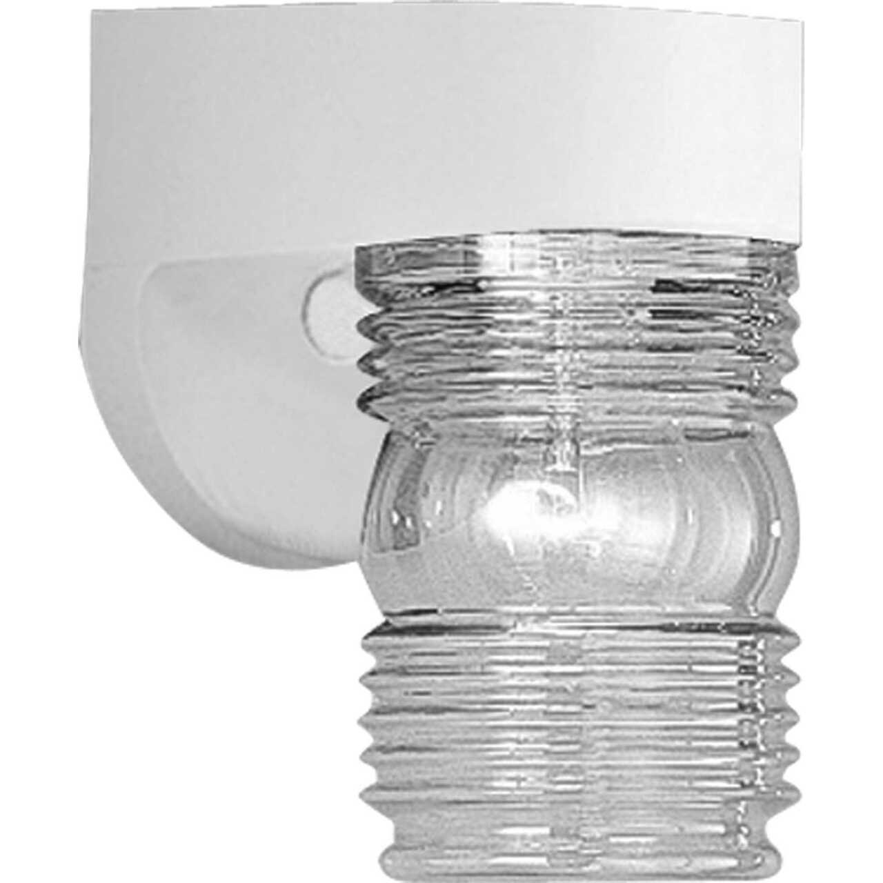 Non-Metallic Incandescent One-Light Outdoor Wall Lantern (P5612-30)