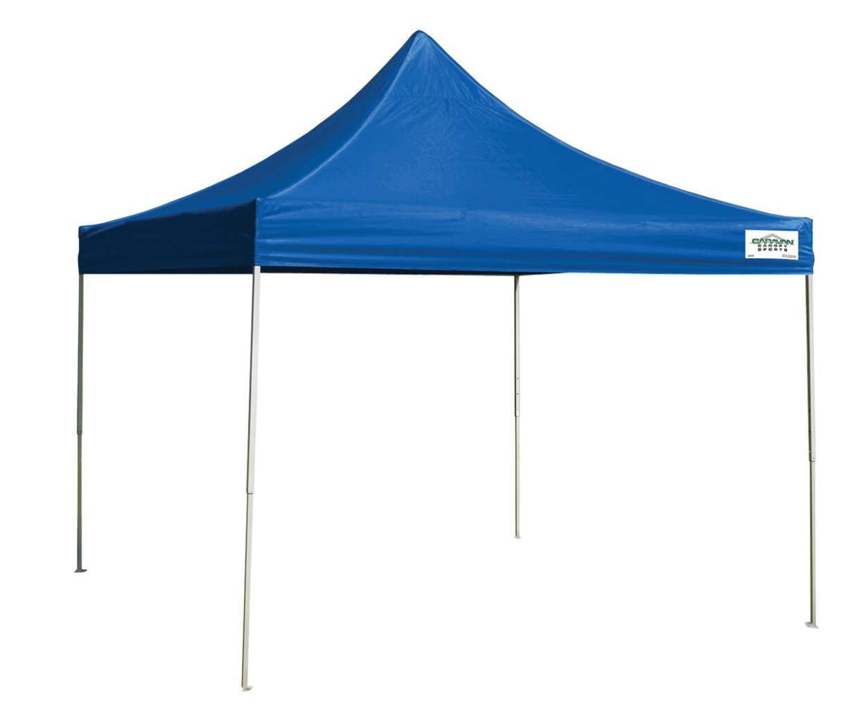 10 x 10 Strait Leg Canopy Steel Frame w/ Rolling Bag